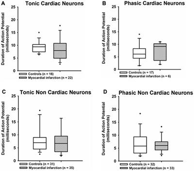 Myocardial infarction with a preserved ejection fraction—the impaired function of the cardio-renal baroreflex